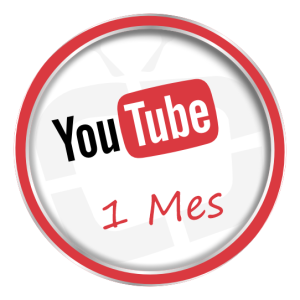 YouTube 1 mes